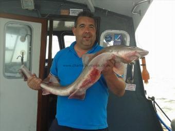 15 lb Smooth-hound (Common) by Shane Bone