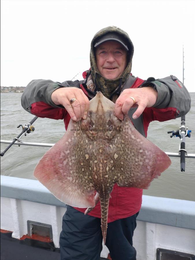 5 lb Thornback Ray by Mike