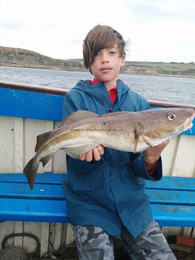 3 lb 8 oz Cod by Unknown