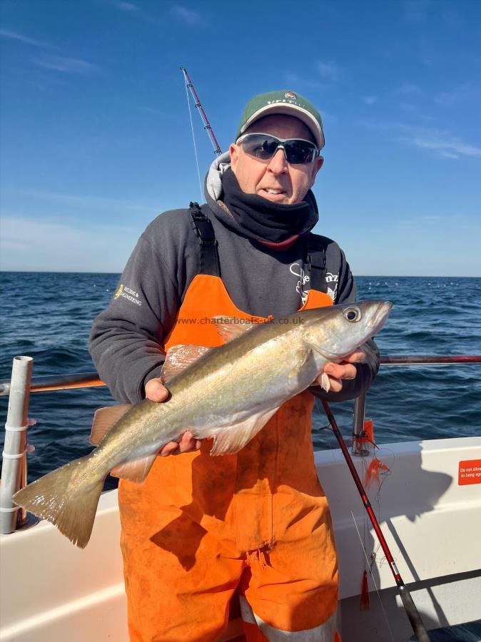 5 lb 4 oz Pollock by Dave Sharp