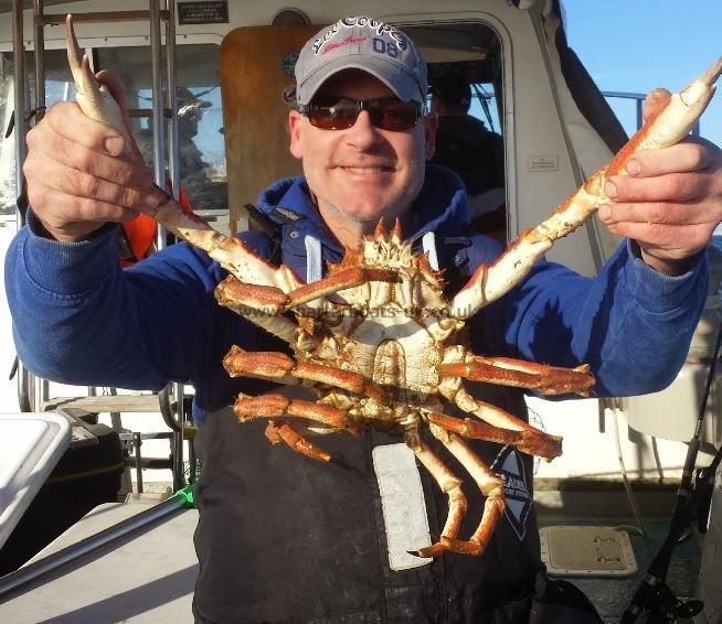 2 lb Spider Crab by Unknown