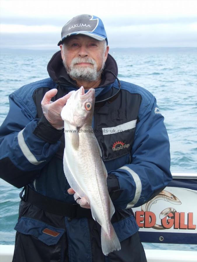 3 lb Whiting by Ian Youngs