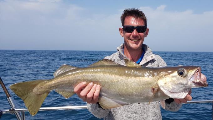 8 lb 4 oz Pollock by Tony