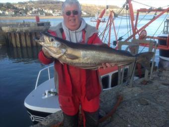 15 lb 1 oz Pollock by Roy Shipway