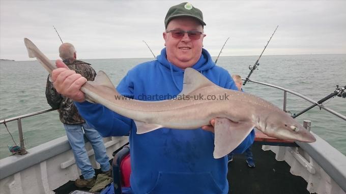 10 lb 3 oz Smooth-hound (Common) by Nigel from Kent