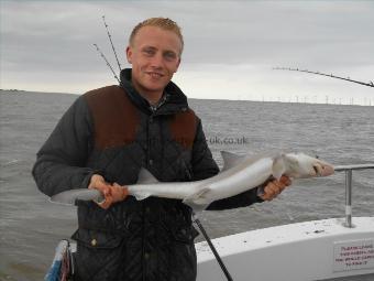 4 lb 5 oz Starry Smooth-hound by Chris Wright