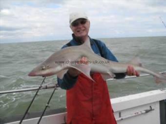 21 lb Smooth-hound (Common) by Unknown