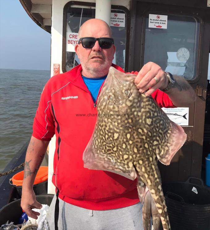 8 lb Thornback Ray by Unknown