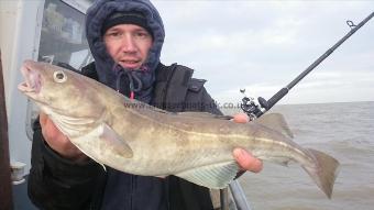 6 lb 4 oz Cod by mark from Kent