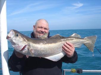 14 lb 6 oz Pollock by Bob