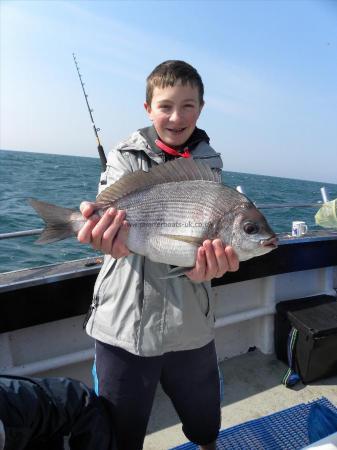 4 lb Black Sea Bream by Unknown