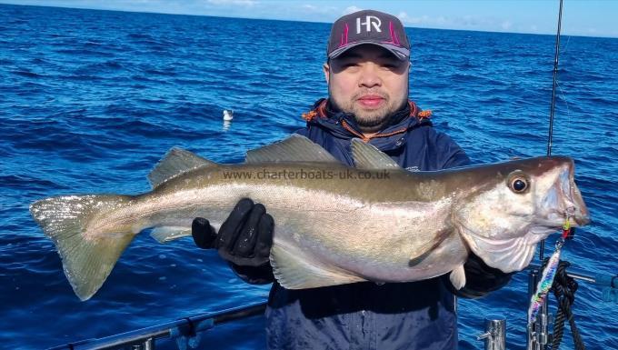 10 lb 1 oz Pollock by Chino