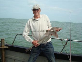 11 lb Starry Smooth-hound by Tony