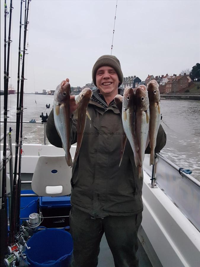 1 lb Whiting by Stuart