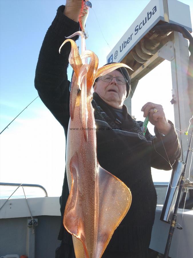 1 lb European Squid by Unknown