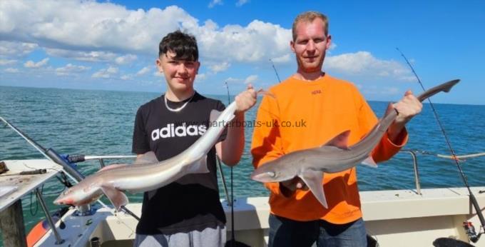 6 lb 2 oz Starry Smooth-hound by Alfie