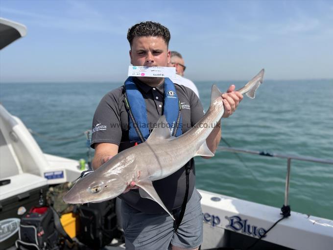 12 lb Smooth-hound (Common) by Deano Ryan