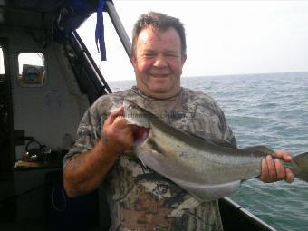 7 lb 8 oz Pollock by Phil Collins