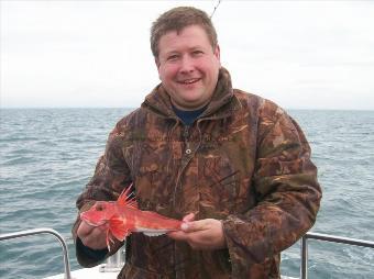 1 lb 8 oz Red Gurnard by Graham