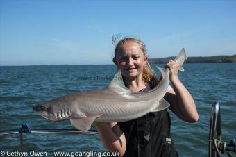 14 lb Starry Smooth-hound by Sarah