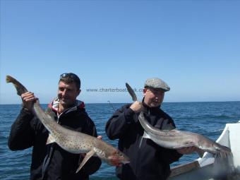 14 lb Bull Huss by Unknown