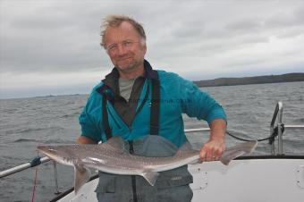 10 lb Starry Smooth-hound by Chris