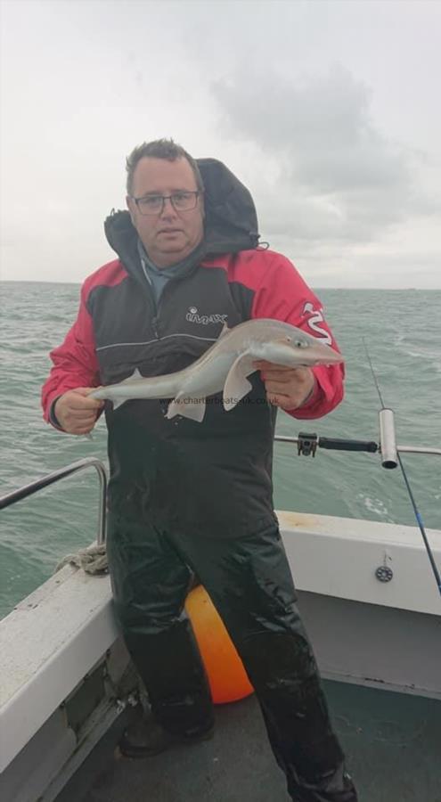 3 lb 3 oz Smooth-hound (Common) by David Warman