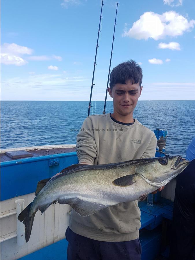 9 lb 8 oz Pollock by Jacub Barwell