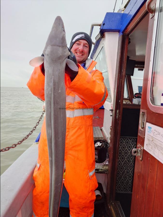 14 lb Conger Eel by Mark