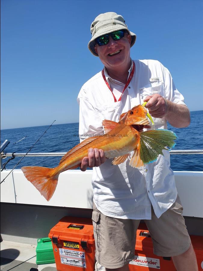 4 lb 8 oz Tub Gurnard by Ian Napier