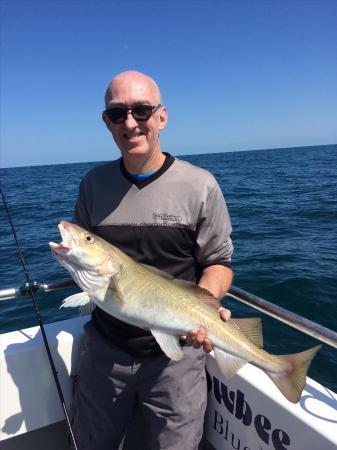 12 lb Cod by Steve Donne