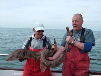 13 lb Bull Huss by Ken & Dave