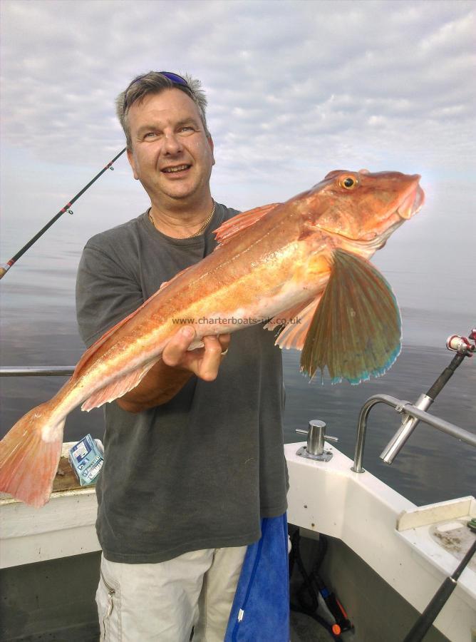 6 lb 4 oz Tub Gurnard by Dave Colclough