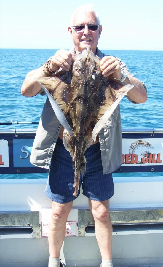 10 lb Undulate Ray by Graham Rosamond