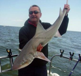 19 lb 8 oz Smooth-hound by Barry Edwards