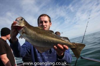 4 lb Pollock by Jon