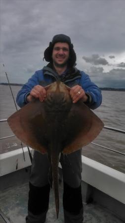 14 lb Blonde Ray by spiro