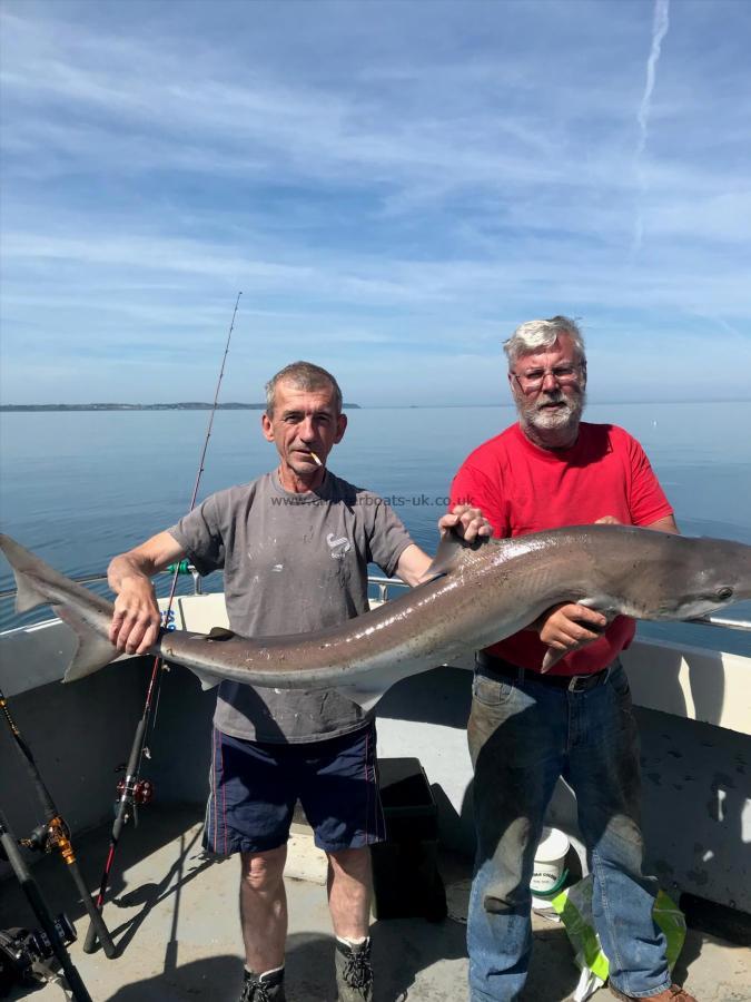52 lb 8 oz Tope by Unknown