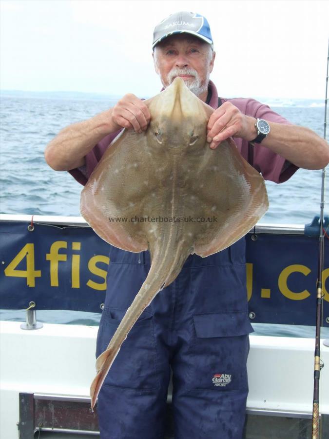 10 lb Small-Eyed Ray by Ian Youngs