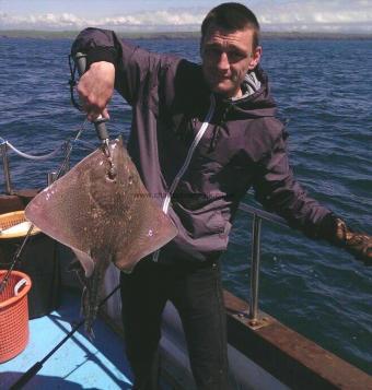 6 lb Thornback Ray by Unknown