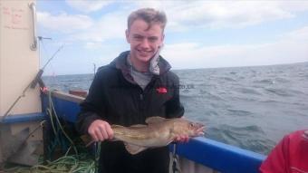 2 lb 10 oz Cod by Unknown