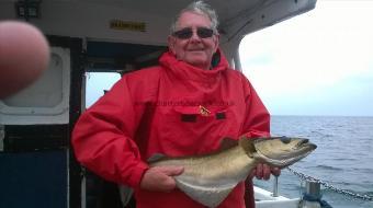 8 lb Pollock by roger