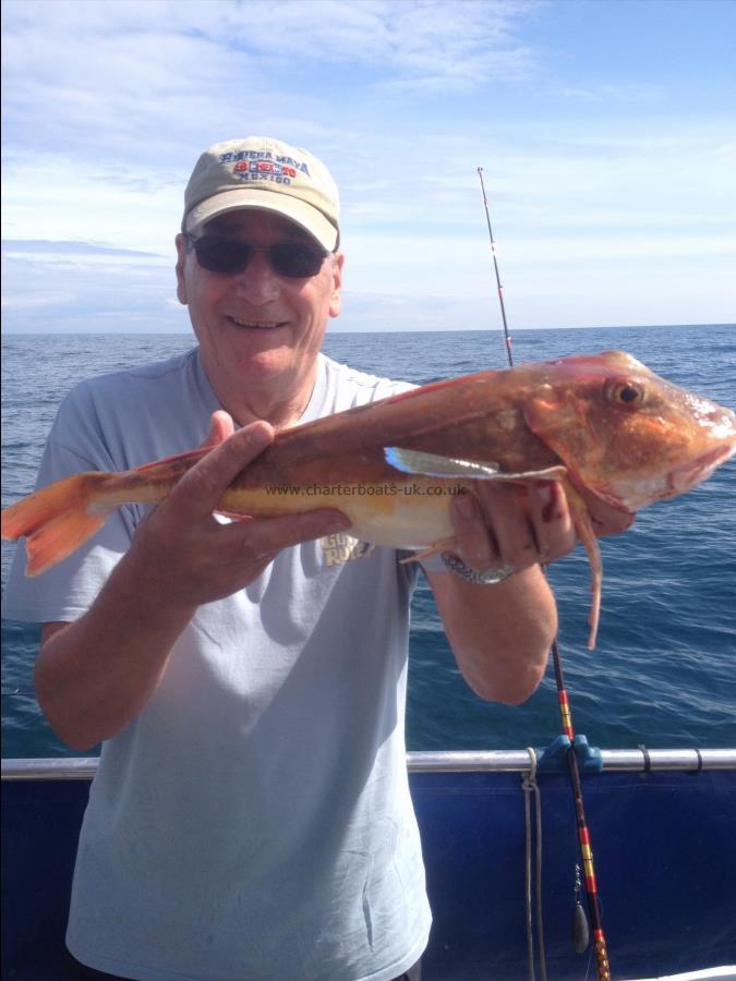 4 lb 8 oz Tub Gurnard by John