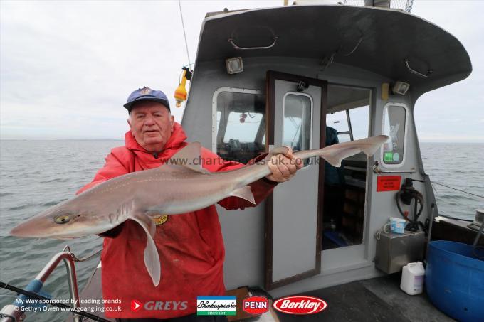 14 lb Starry Smooth-hound by Colin