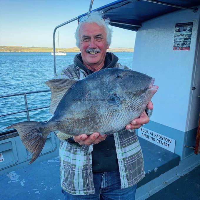 1.895 Kg Trigger Fish by Ed Schliffke