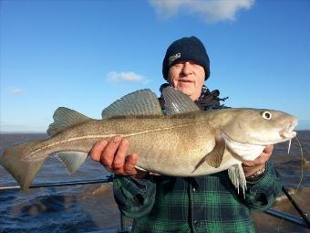 10 lb 2 oz Cod by bill