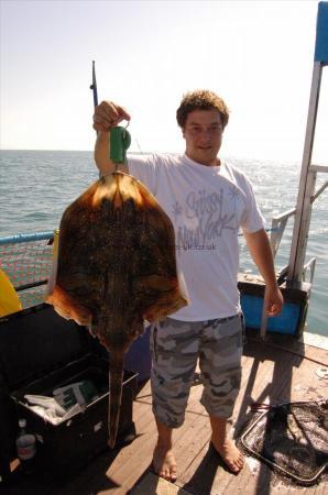 20 lb 19 oz Undulate Ray by Unknown