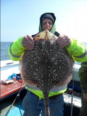 13 lb 4 oz Thornback Ray by Mark