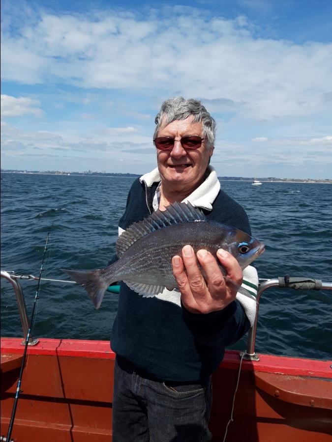 1 lb Black Sea Bream by Paul Green from Christchurch