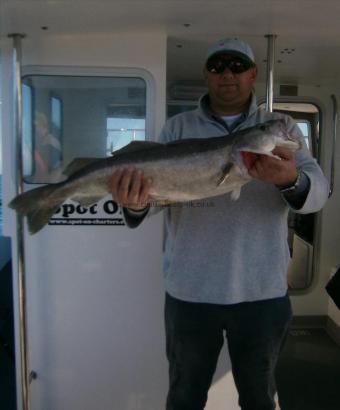 14 lb 3 oz Pollock by Mark Wellington